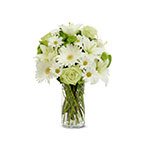 Birthday Flowers