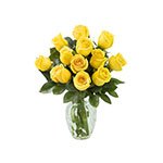 Yellow Flowers