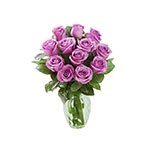 Exotic Flowers